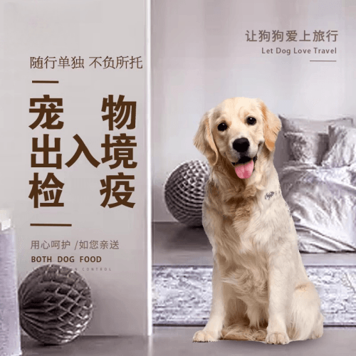 徐州市宠物托运到哥伦比亚猫狗宠物入境规定和
