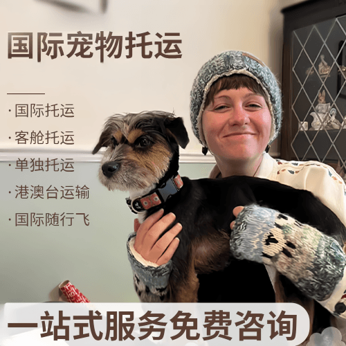徐州市国际宠物托运到阿根廷宠物入境规定和要