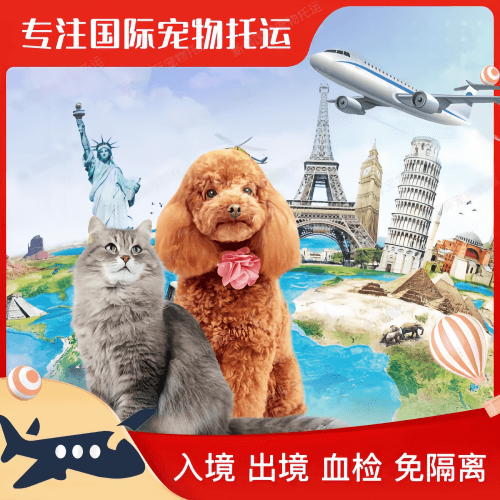 徐州市宠物托运到美国宠物入境最新规定和要求