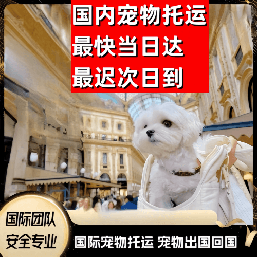 徐州市到澳大利亚（澳洲）宠物入境规定和要求