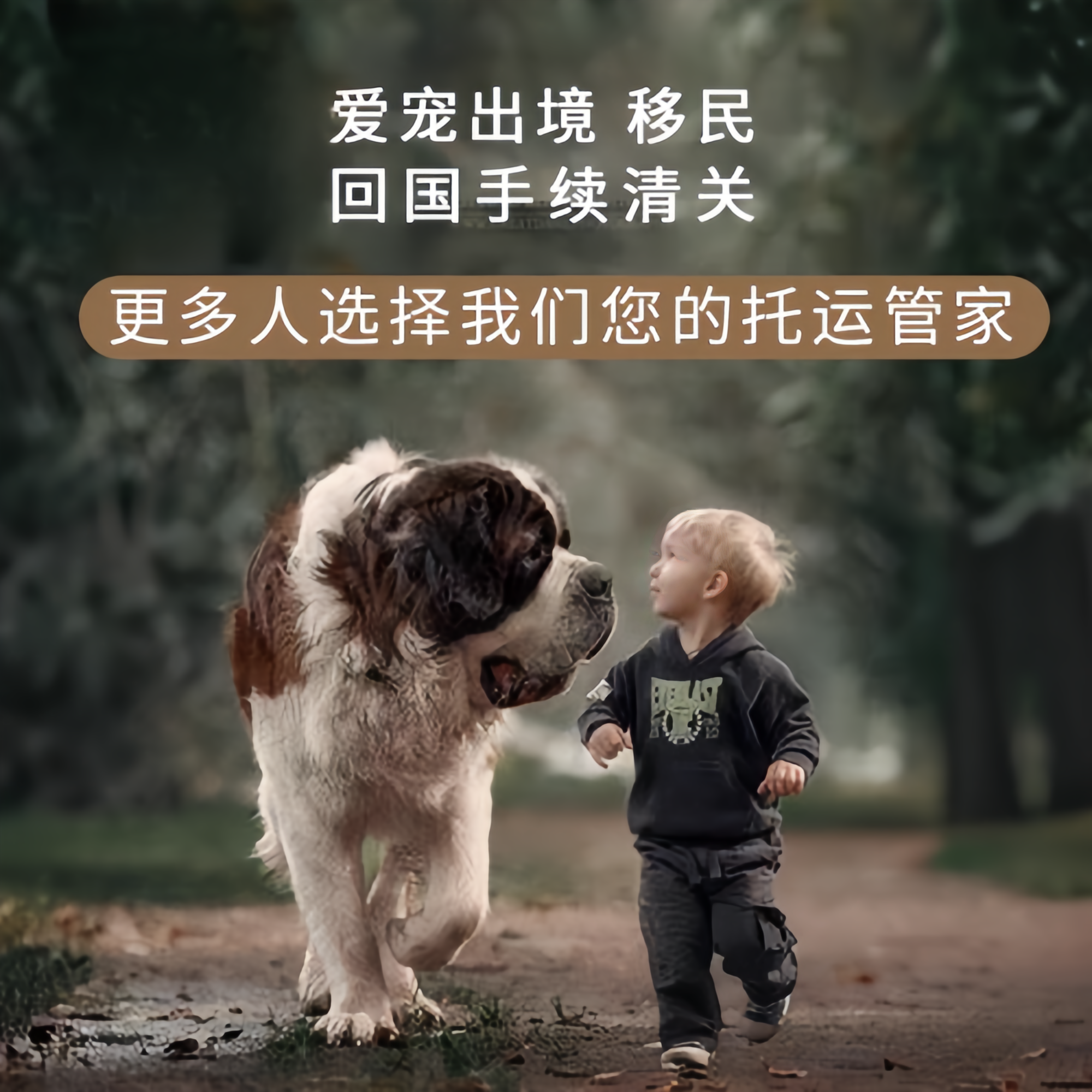 满财徐州市宠物全球达宠物托运在遵守入境目的地政策的条件