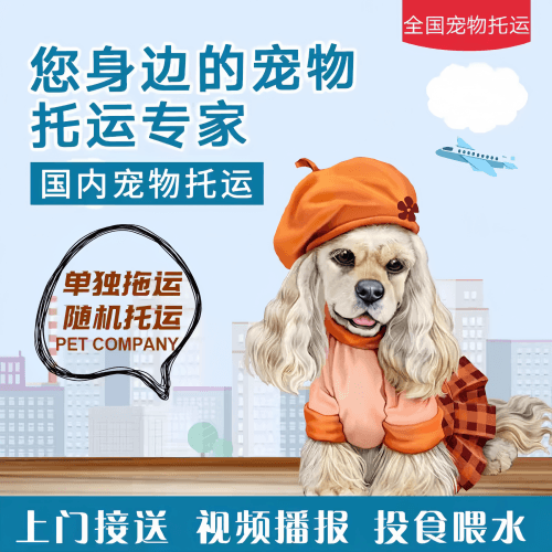 满财徐州市宠物全球达宠物托运作为专业的宠物运输代理机构